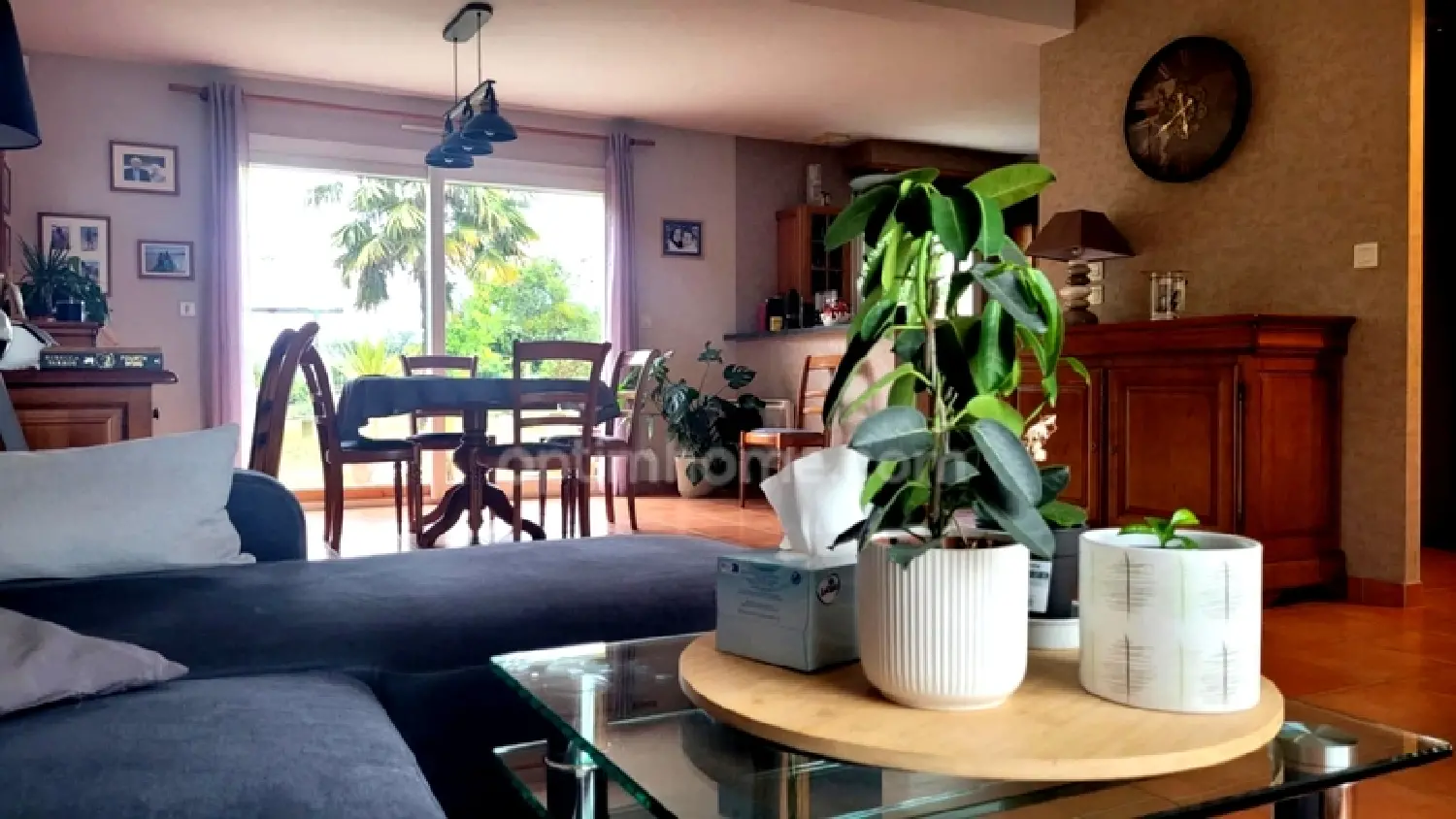  te koop huis Pluneret Morbihan 5
