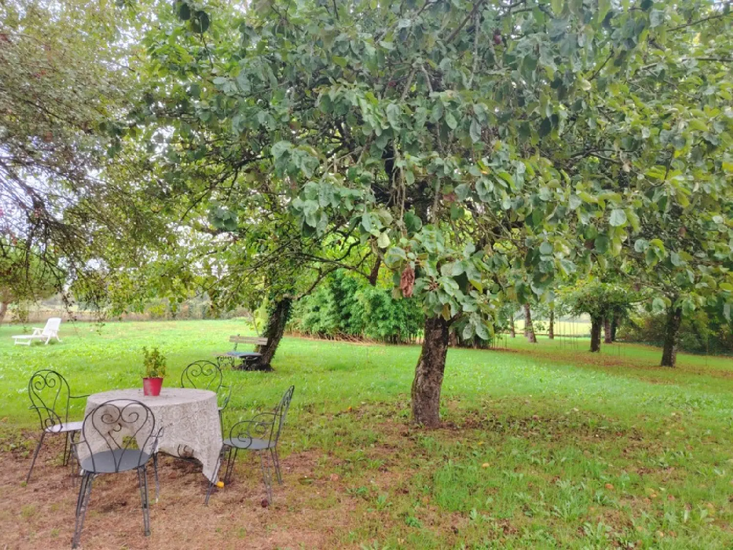  te koop huis Pranzac Charente 2