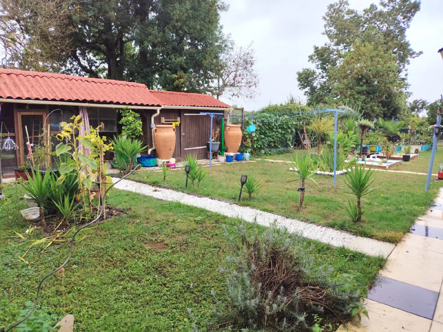  te koop huis Préguillac Charente-Maritime 1
