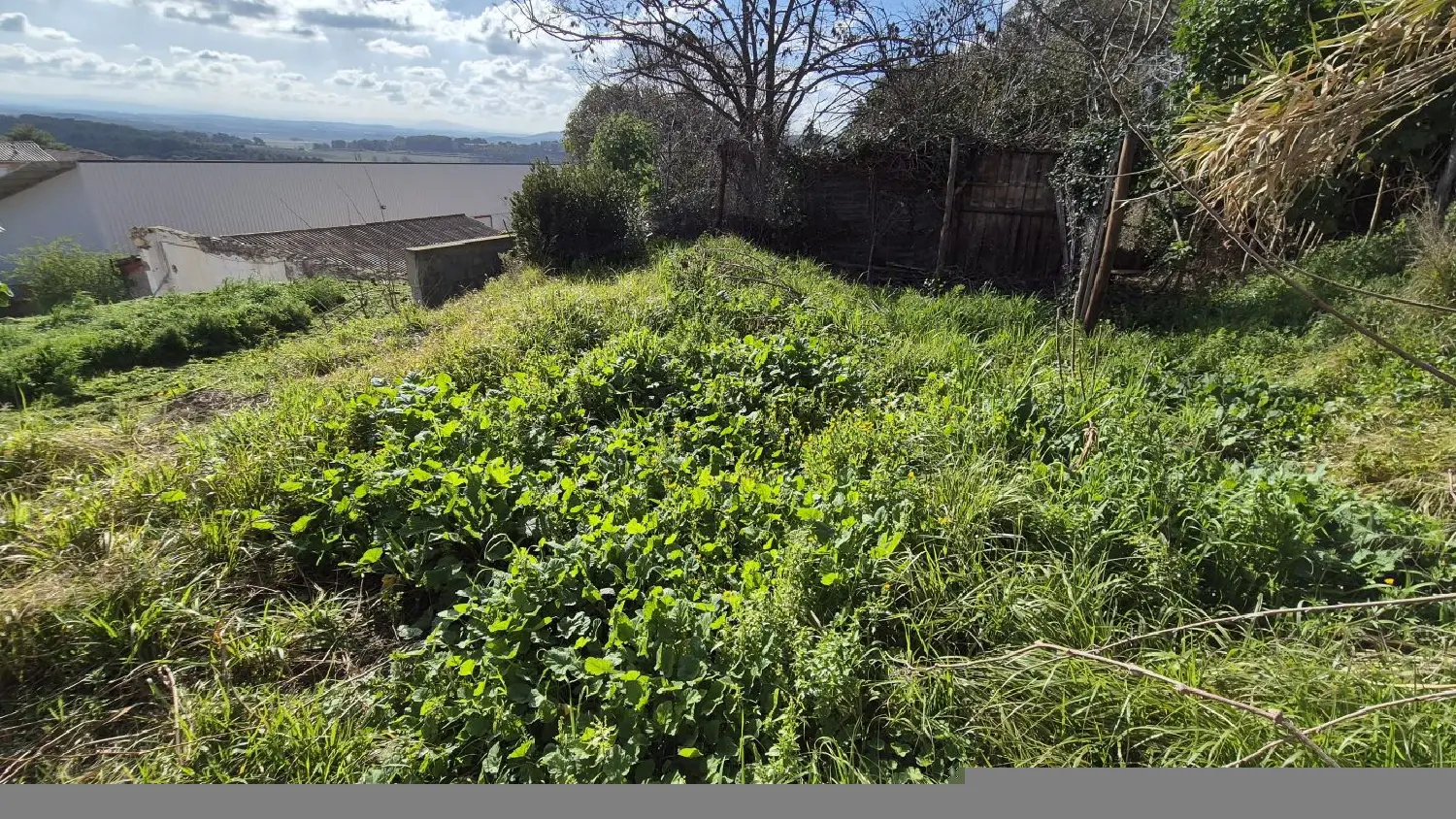  te koop huis Quarante Hérault 4