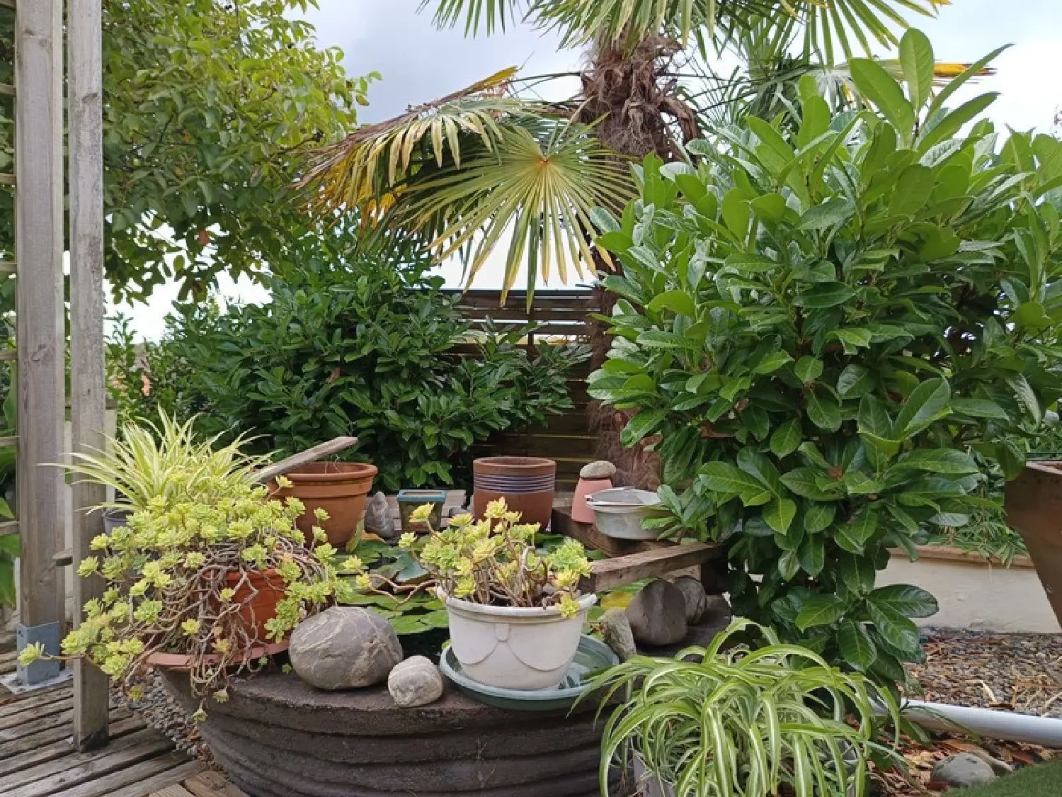  te koop huis Riscle Gers 2