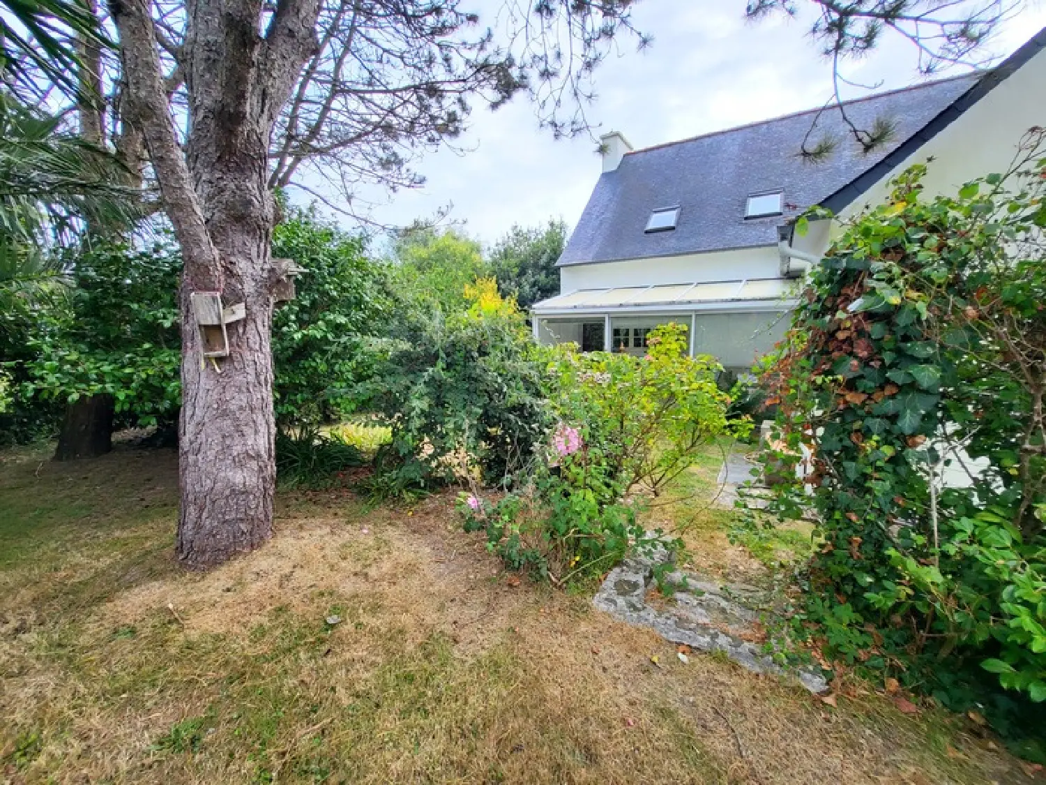  te koop huis Roscanvel Finistère 5