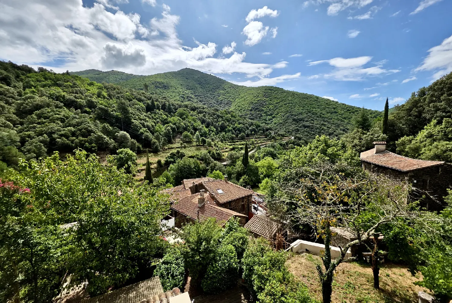  à vendre maison Saint-André-de-Majencoules Gard 1