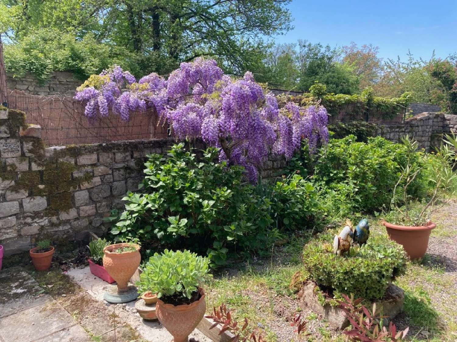  for sale house Saint-Émiland Saône-et-Loire 7