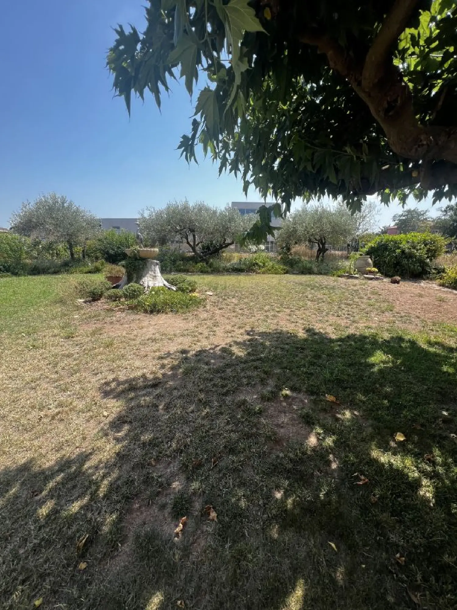  te koop huis Saint-Gilles Gard 2