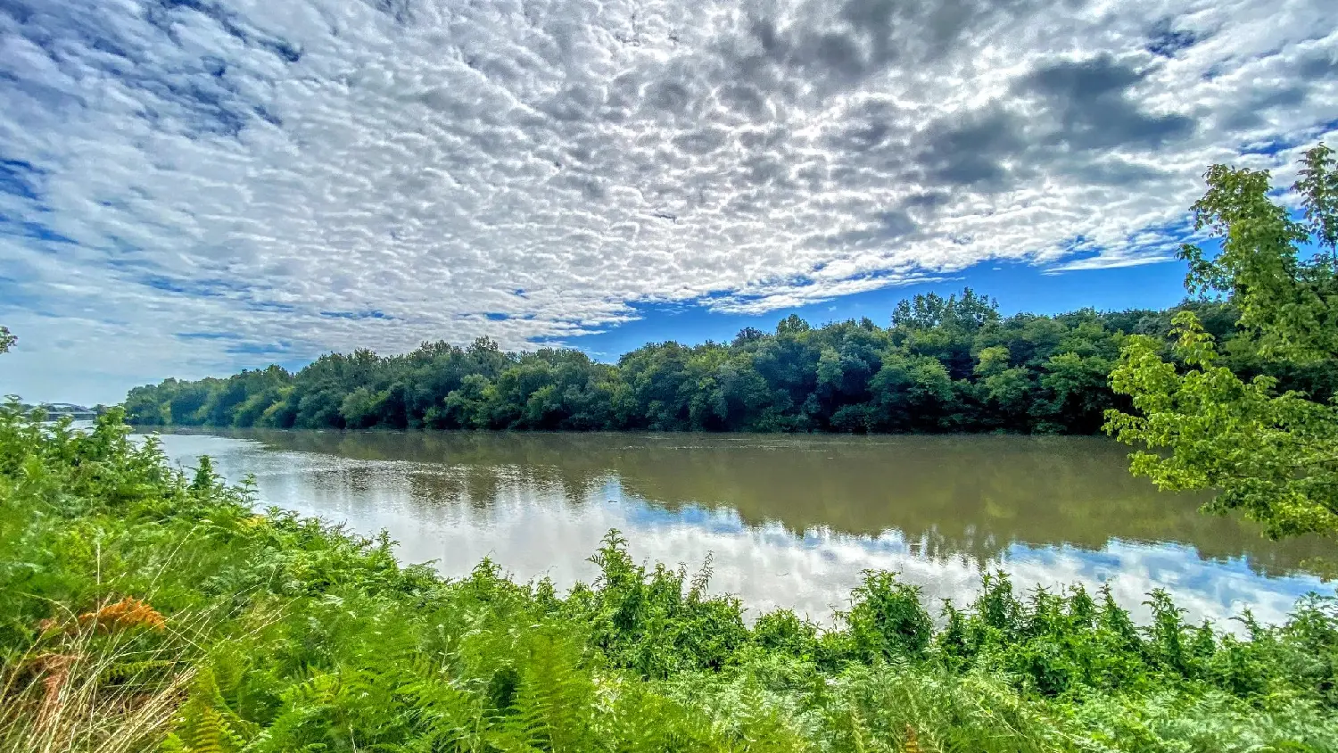  en venta casa Saint-Jean-de-Marsacq Landes 1