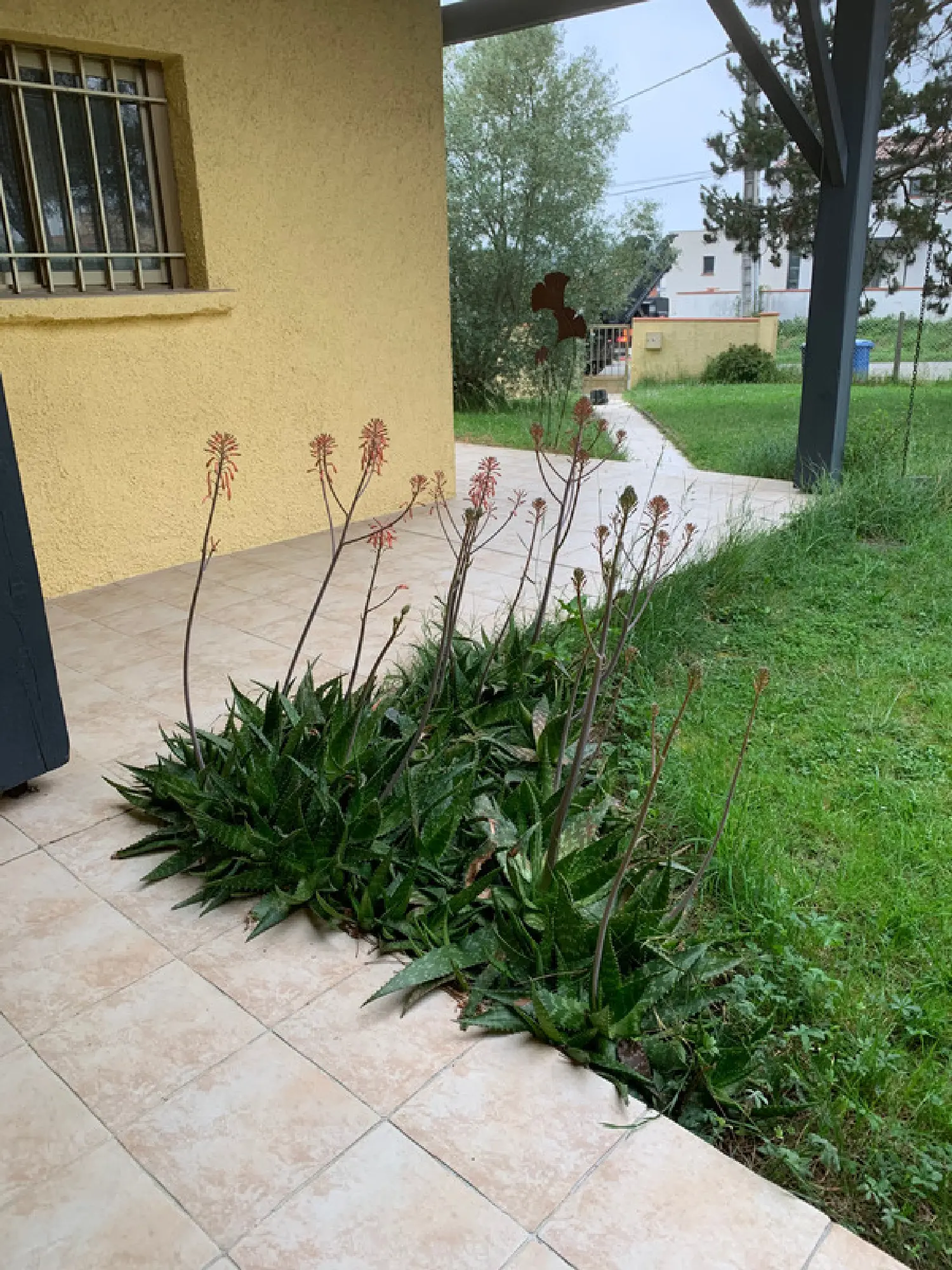  for sale house Saint-Jean Haute-Garonne 8