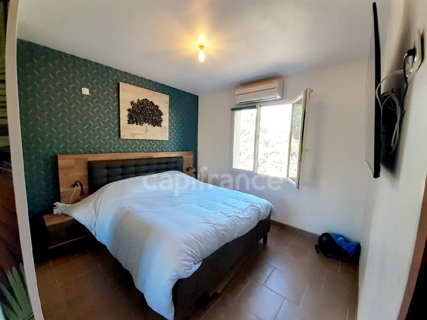  for sale house Saint-Julien-l'Ars Vienne 5