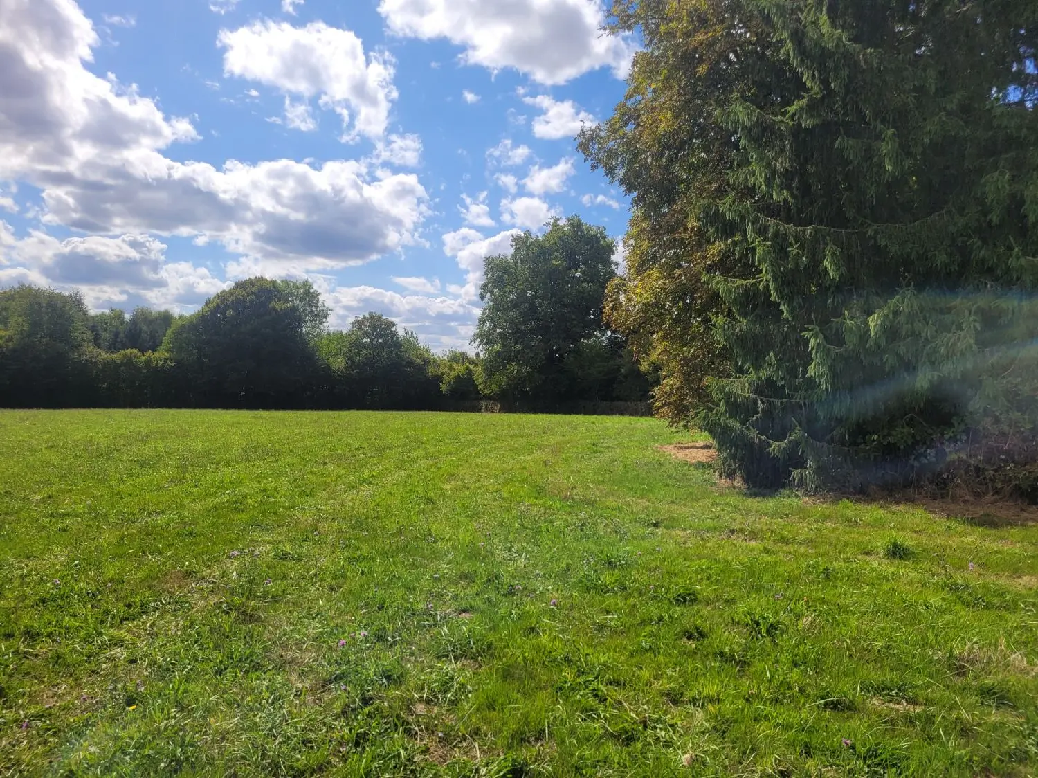  for sale house Saint-Marien Creuse 4