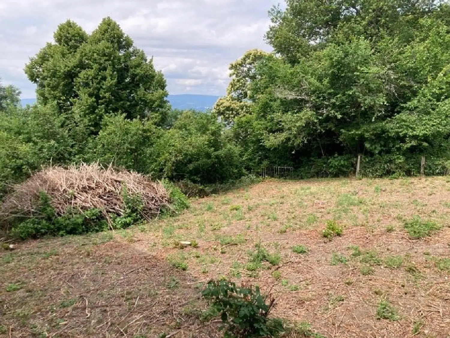  à vendre maison Saint-Martin-des-Olmes Puy-de-Dôme 3