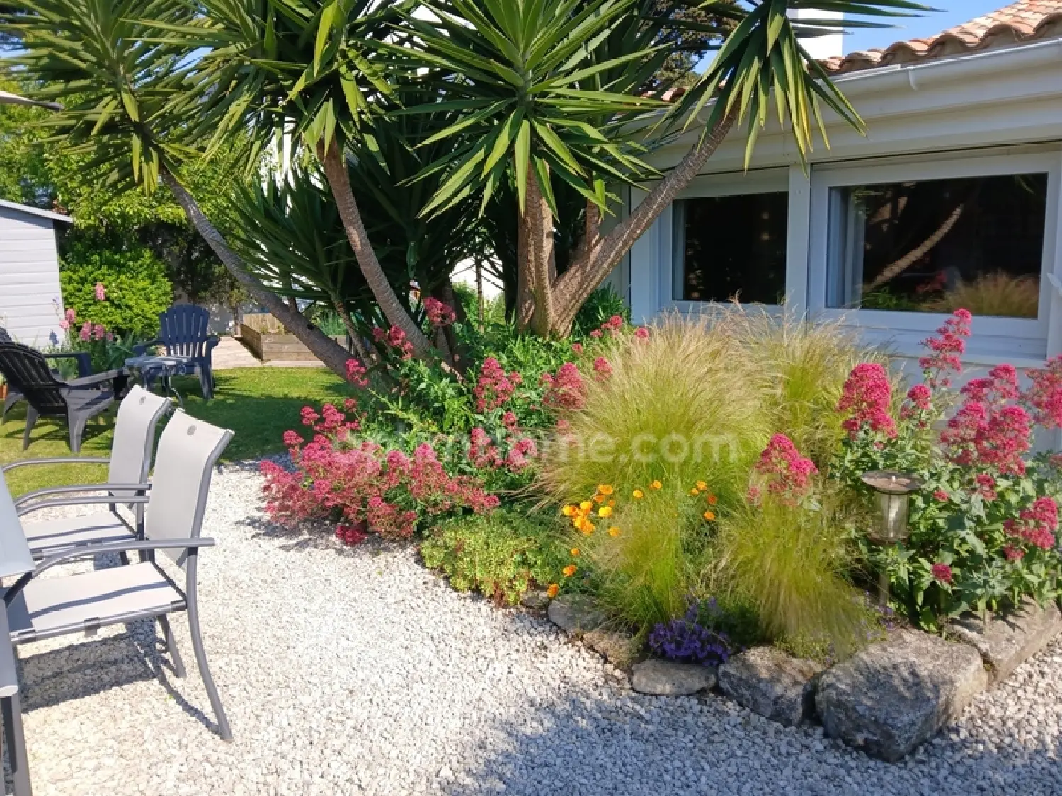  te koop huis Saint-Martin-de-Ré Charente-Maritime 2