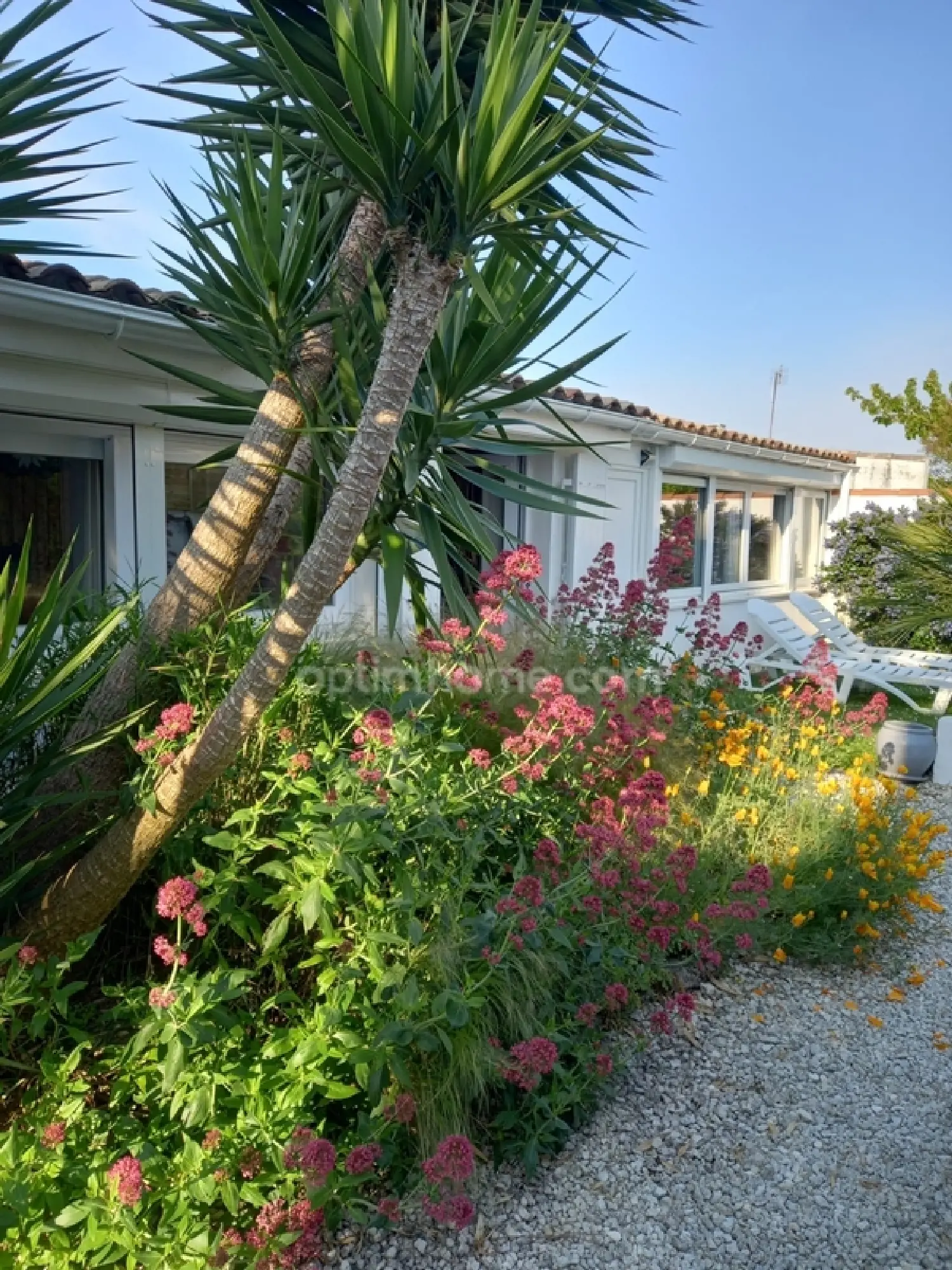  te koop huis Saint-Martin-de-Ré Charente-Maritime 4