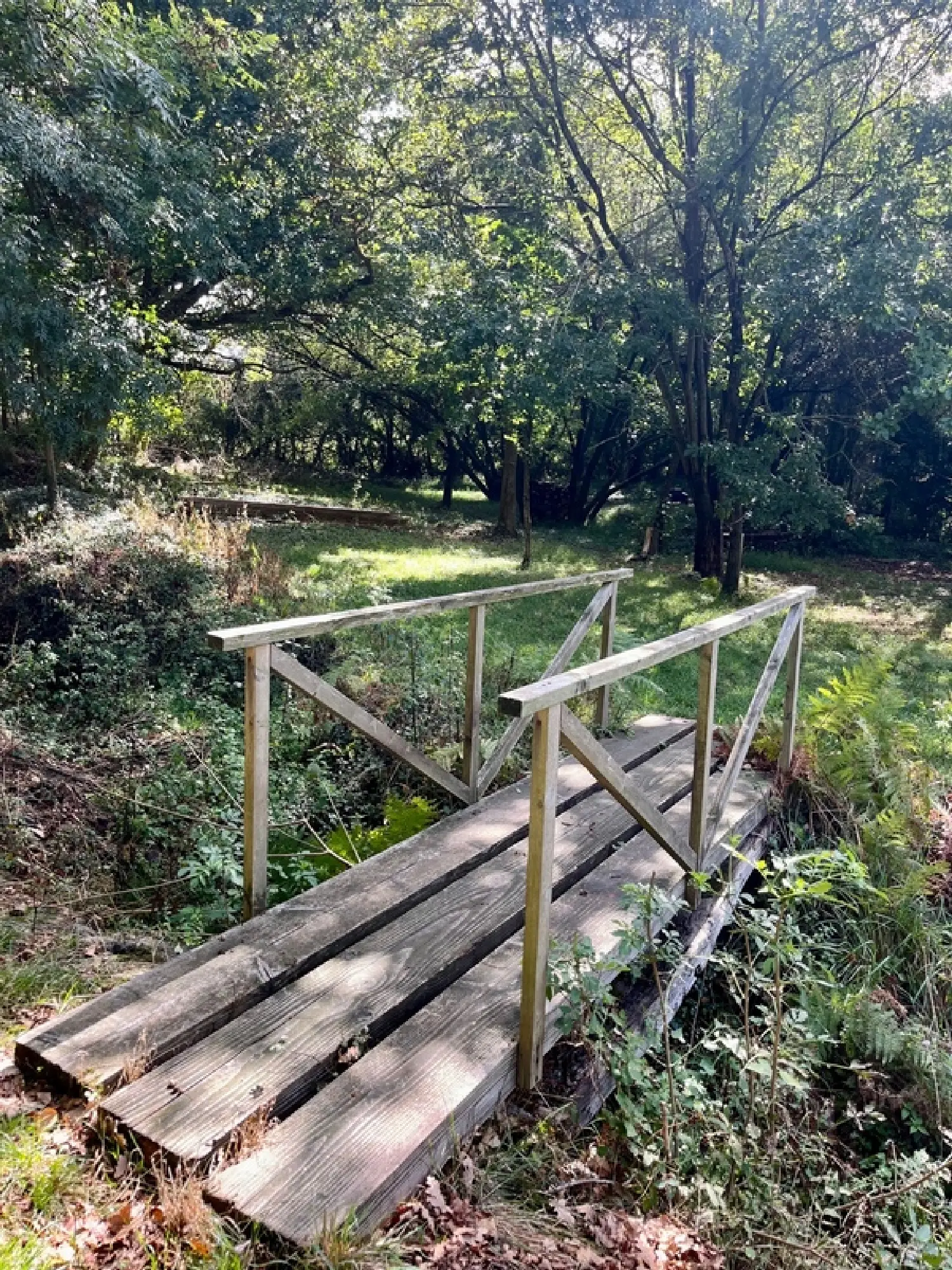  à vendre maison Saint-Nic Finistère 8