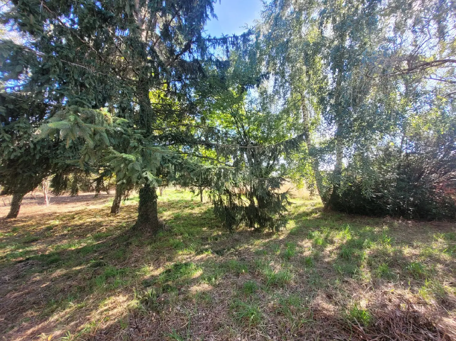  for sale house Saint-Palais Allier 4