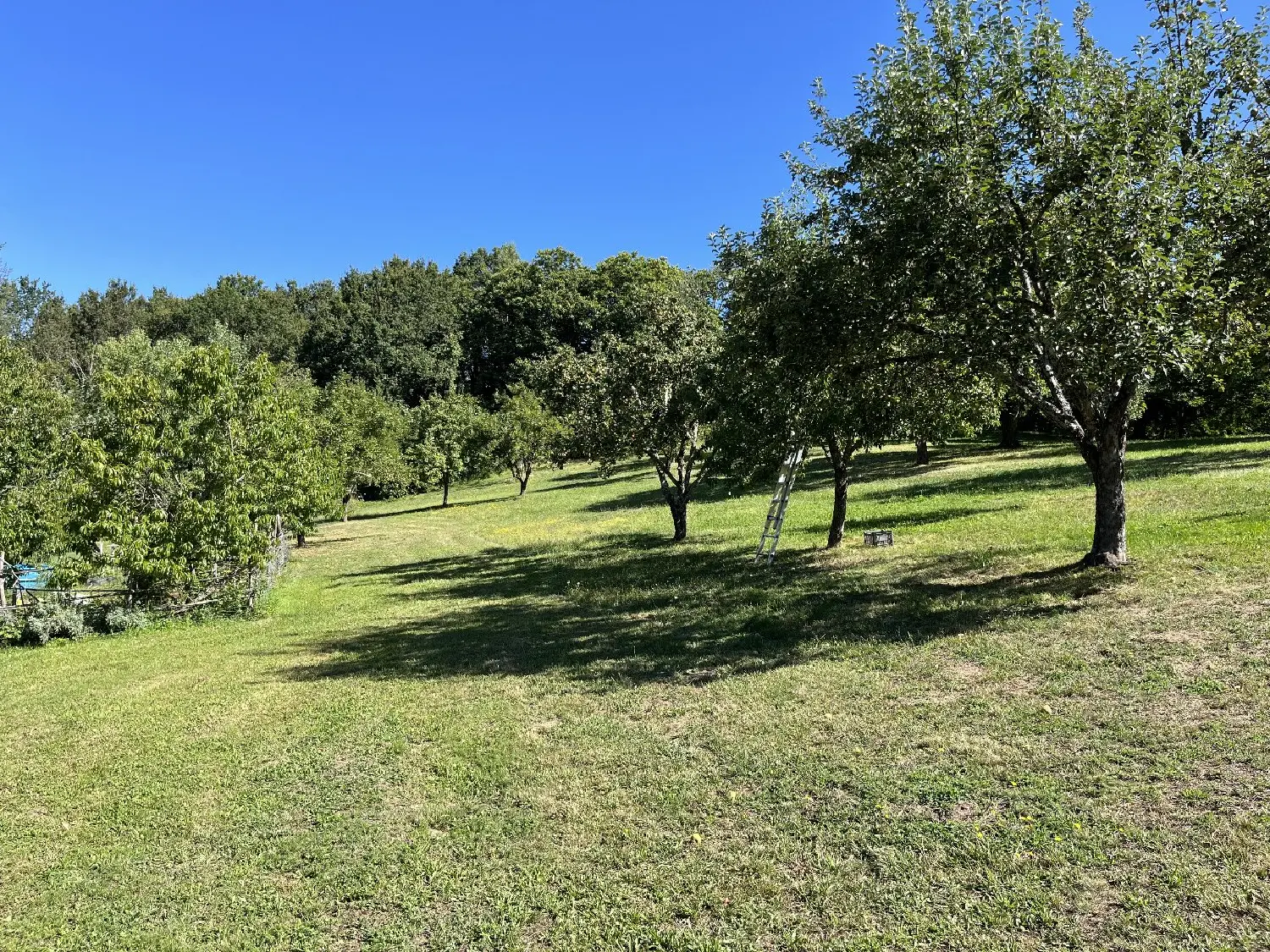  à vendre maison Saint-Perdoux Lot 4