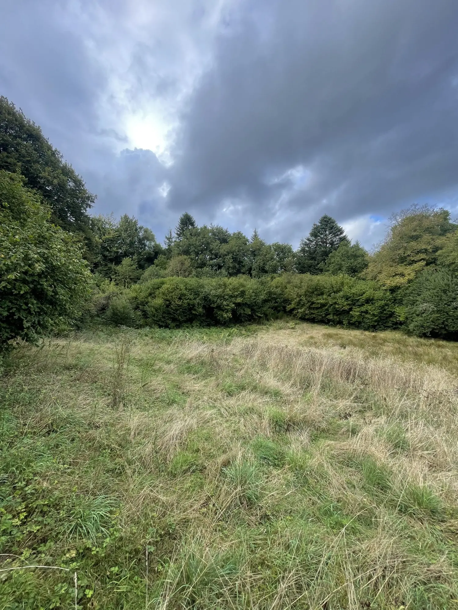  à vendre maison Saint-Pierre-Bellevue Creuse 3