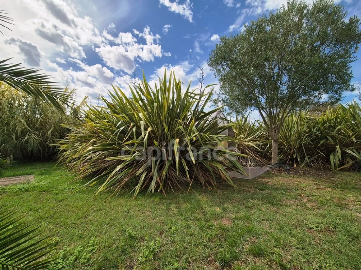  for sale house Saint-Romain-de-Benet Charente-Maritime 4