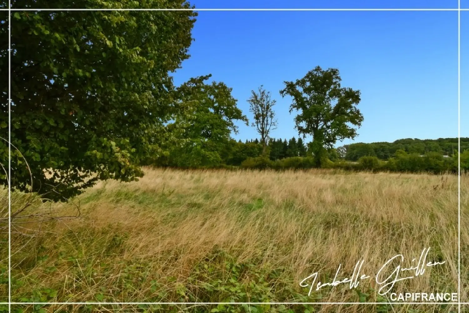  te koop huis Saint-Saturnin Cher 2