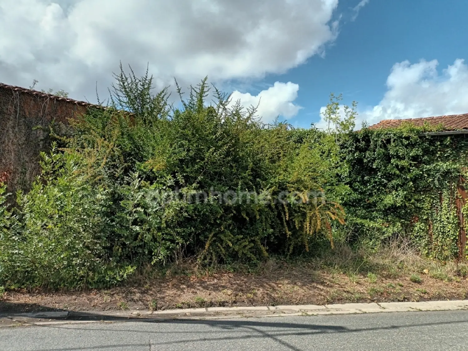 te koop huis Saint-Seurin-de-Cadourne Gironde 2