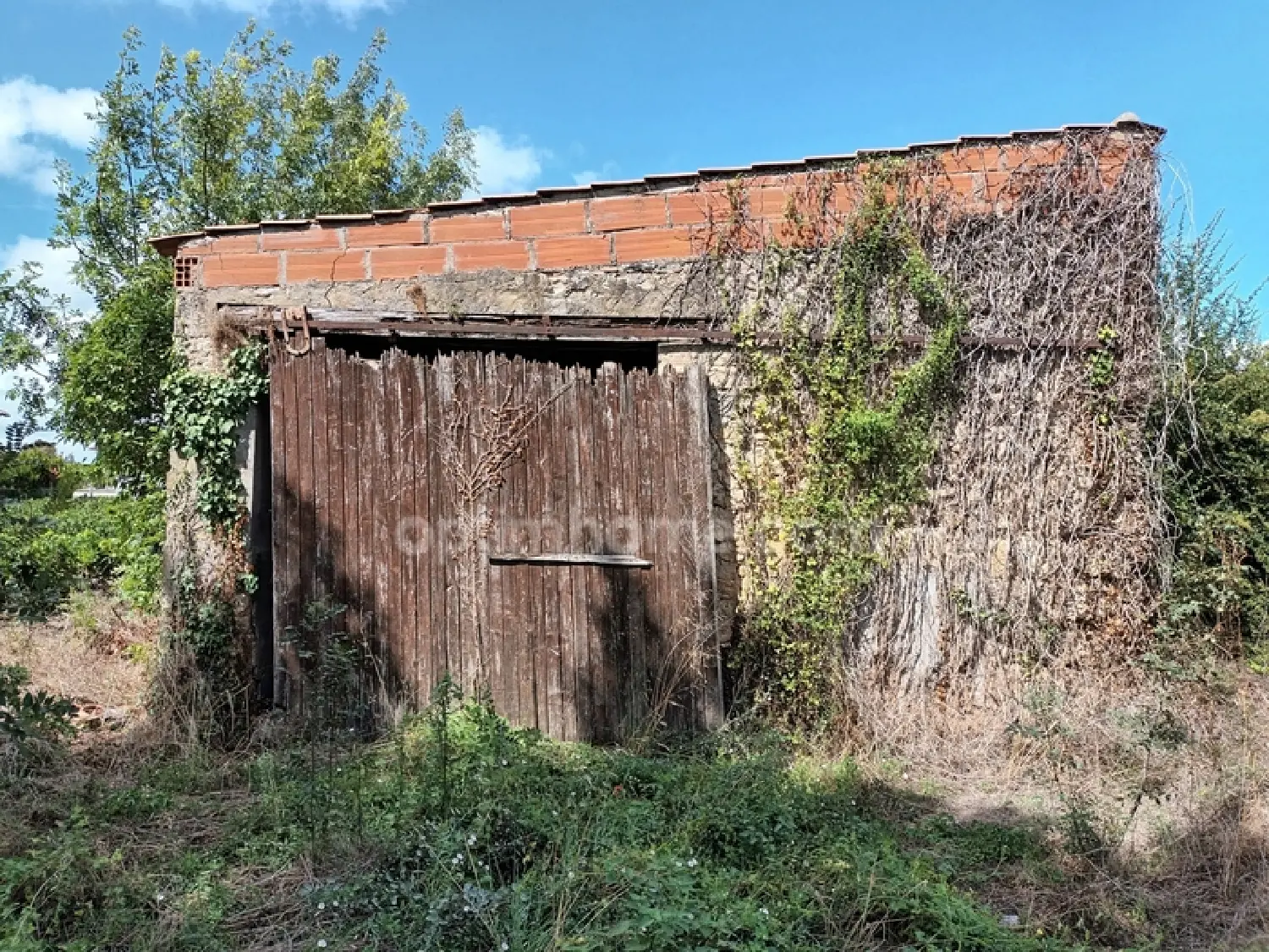  te koop huis Saint-Seurin-de-Cadourne Gironde 3