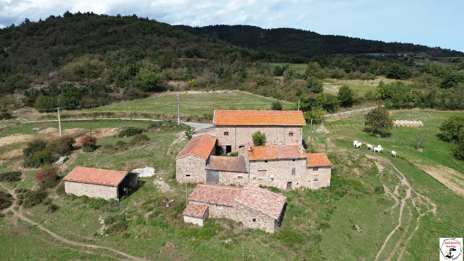  kaufen Haus Saint-Victor Ardèche 1