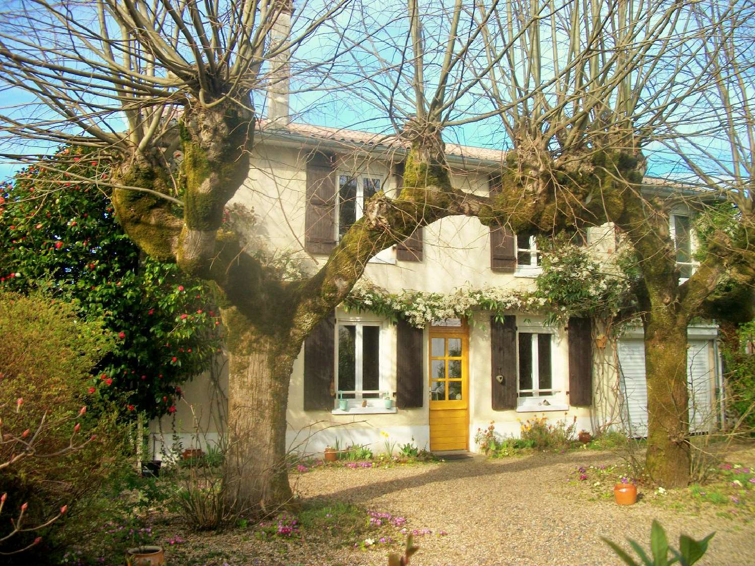 à vendre maison Saint-Yrieix-la-Perche Haute-Vienne 3