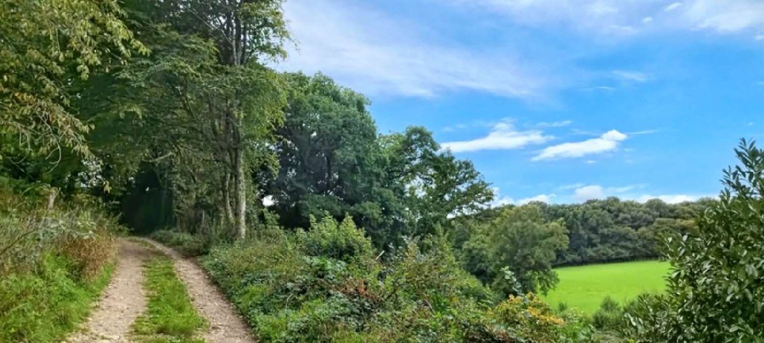  te koop huis Lavangeot Jura 2