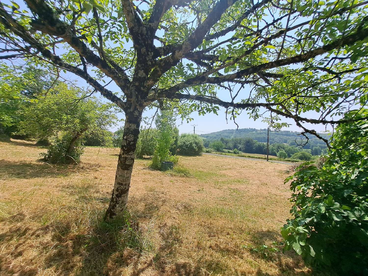  à vendre maison Ségonzac Corrèze 4