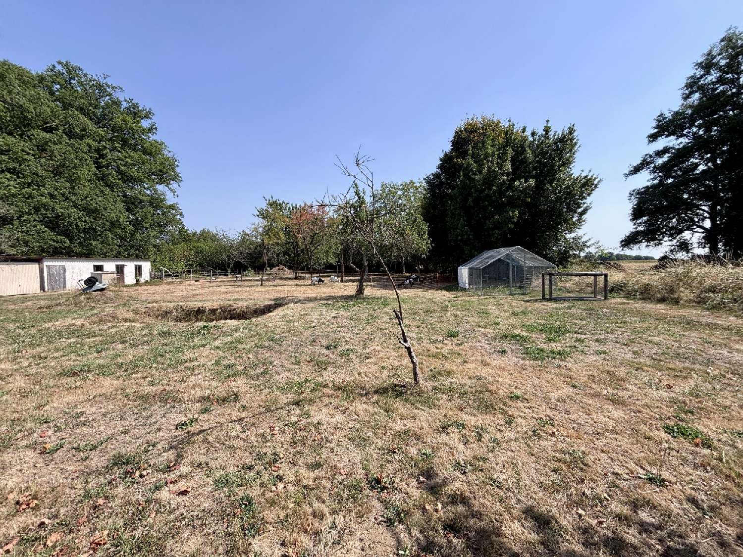  te koop huis Séreilhac Haute-Vienne 3