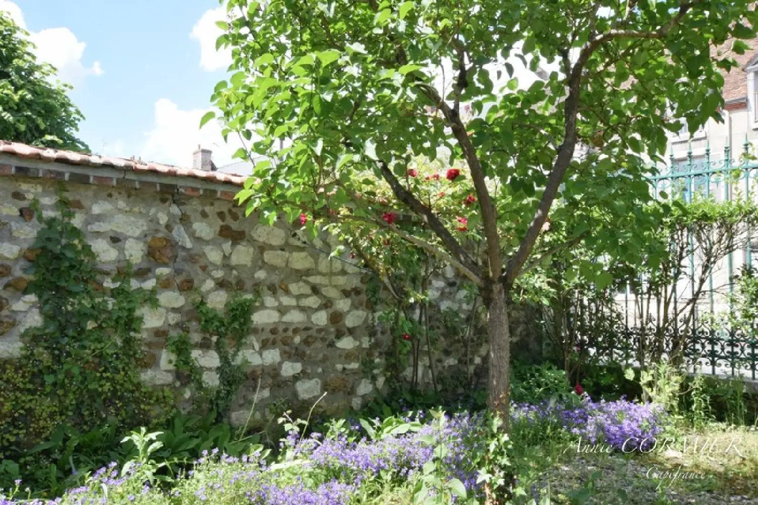  kaufen Haus Sully-sur-Loire Loiret 4