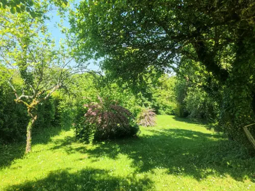  te koop huis Tazilly Nièvre 6