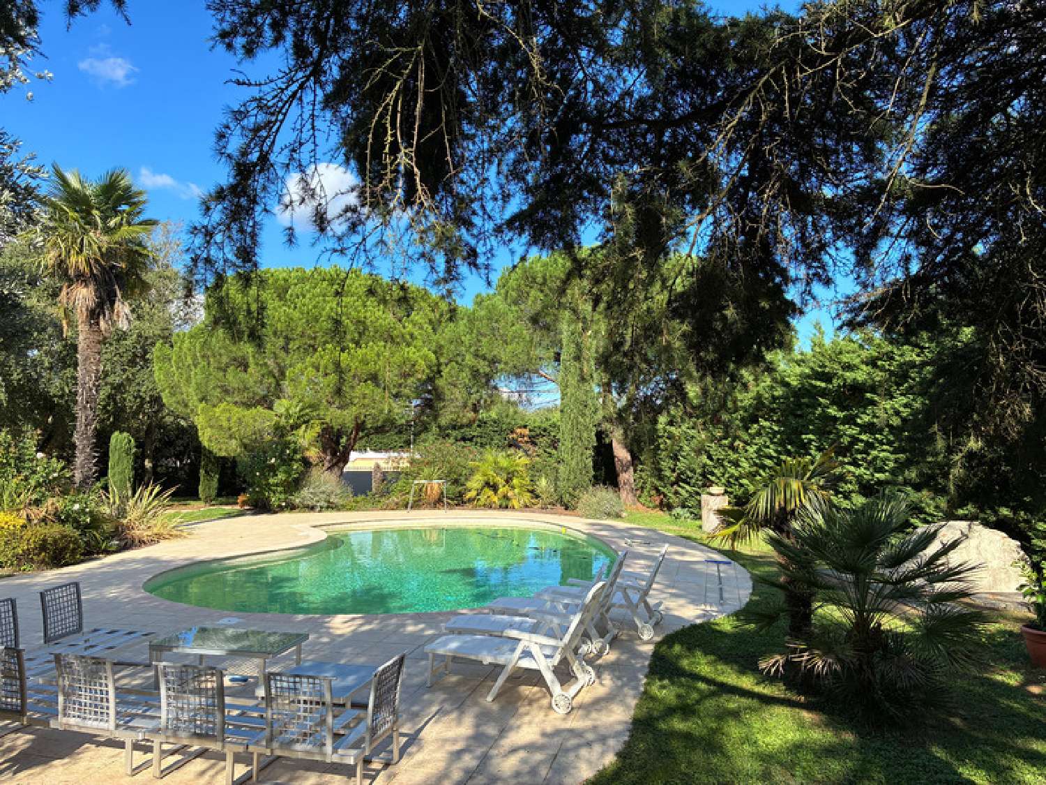  for sale house Tournefeuille Haute-Garonne 4