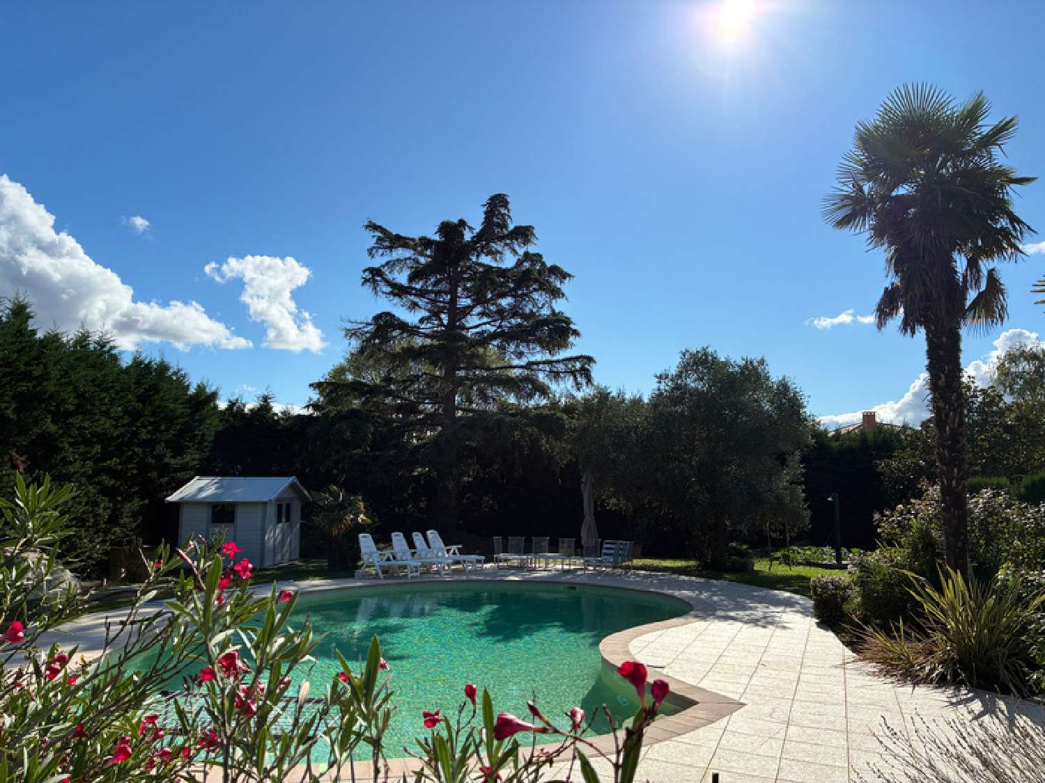  for sale house Tournefeuille Haute-Garonne 5