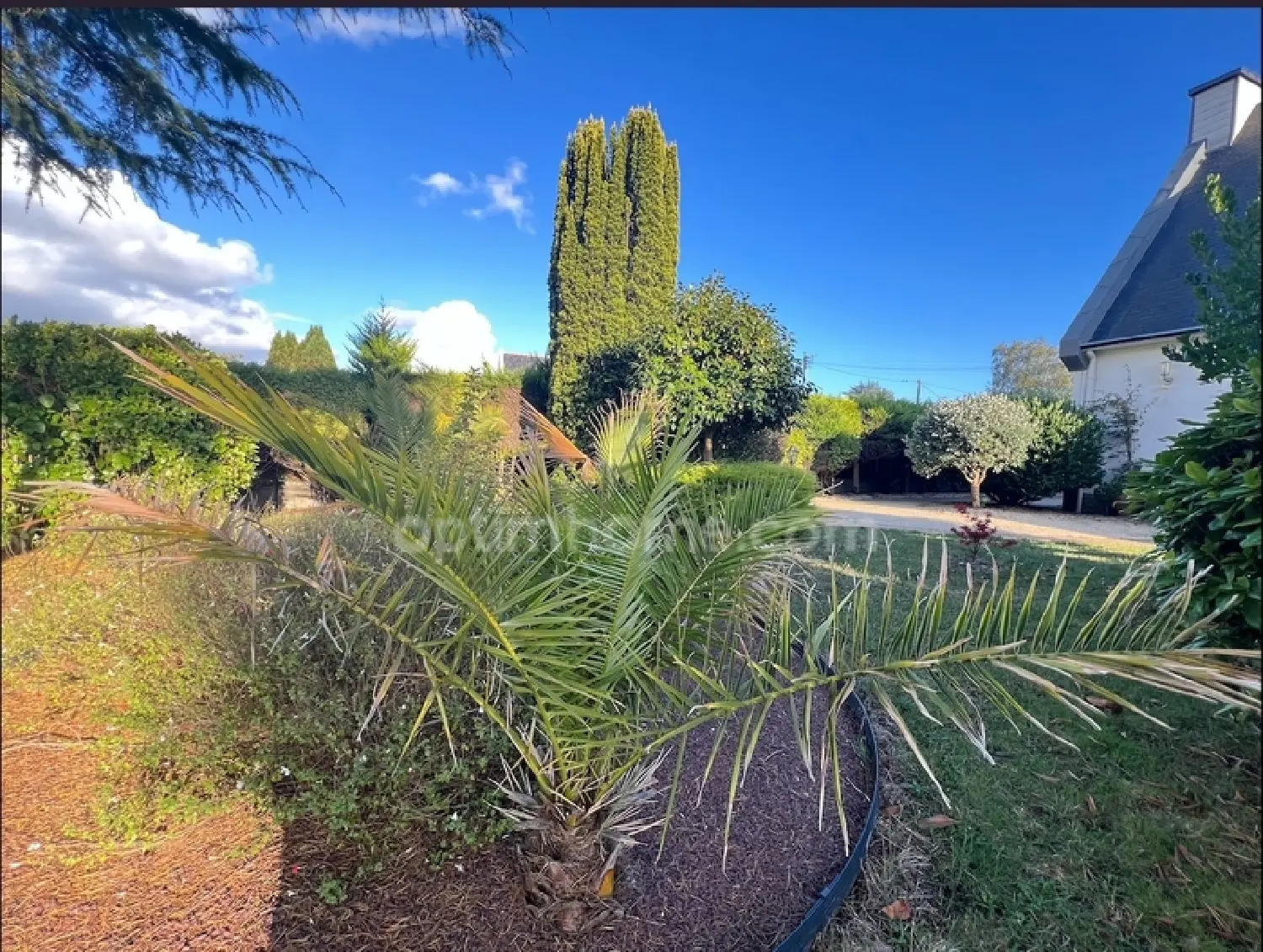  te koop huis Trégunc Finistère 3