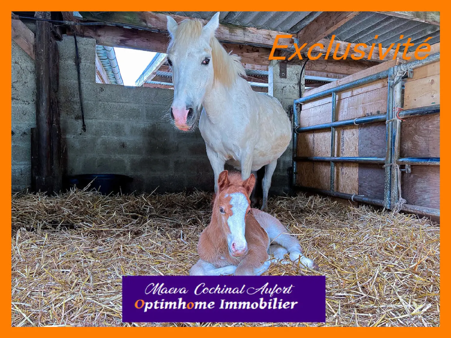  te koop huis Verneuil-sur-Avre Eure 2