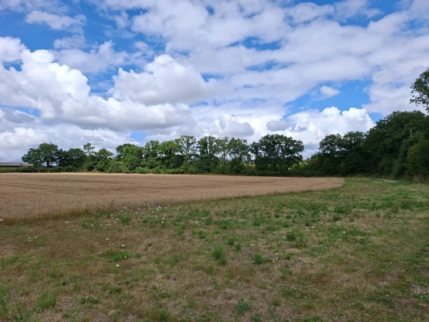  kaufen Haus Villaines-la-Juhel Mayenne 2