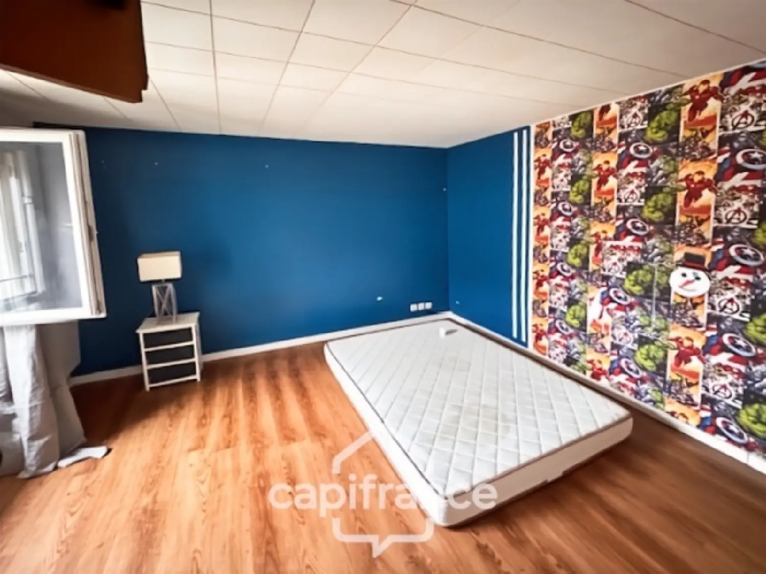  à vendre maison Villeneuve-sous-Dammartin Seine-et-Marne 5