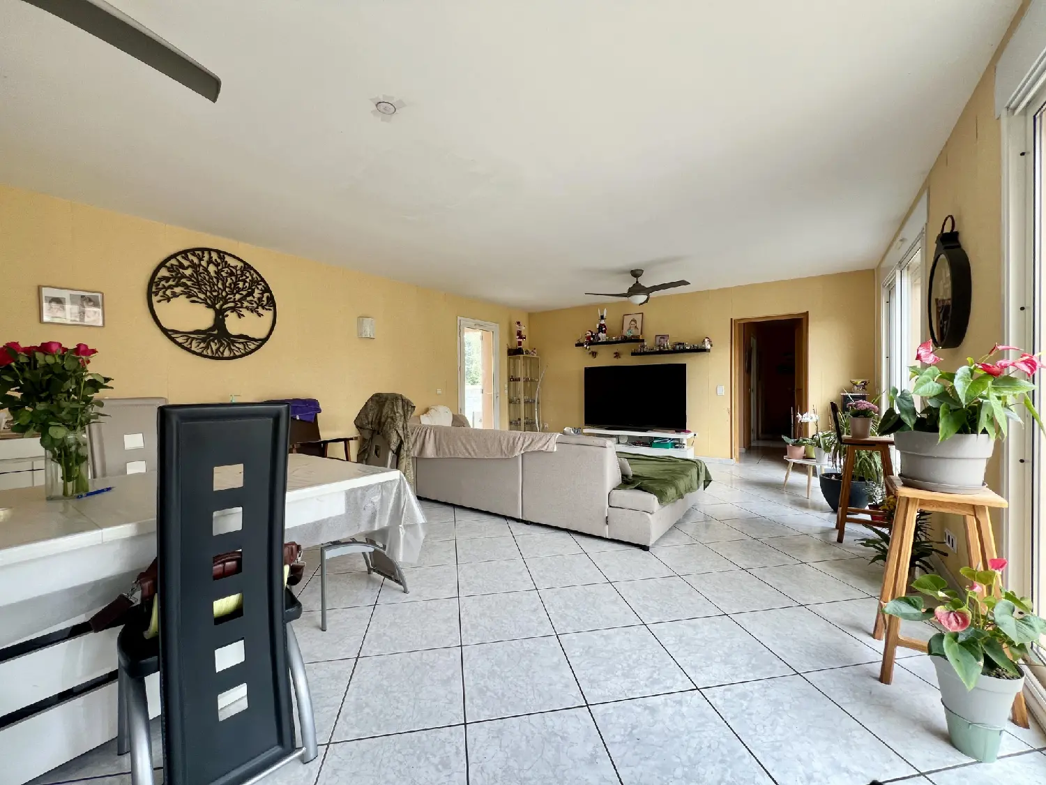  te koop huis Viterbe Tarn 3