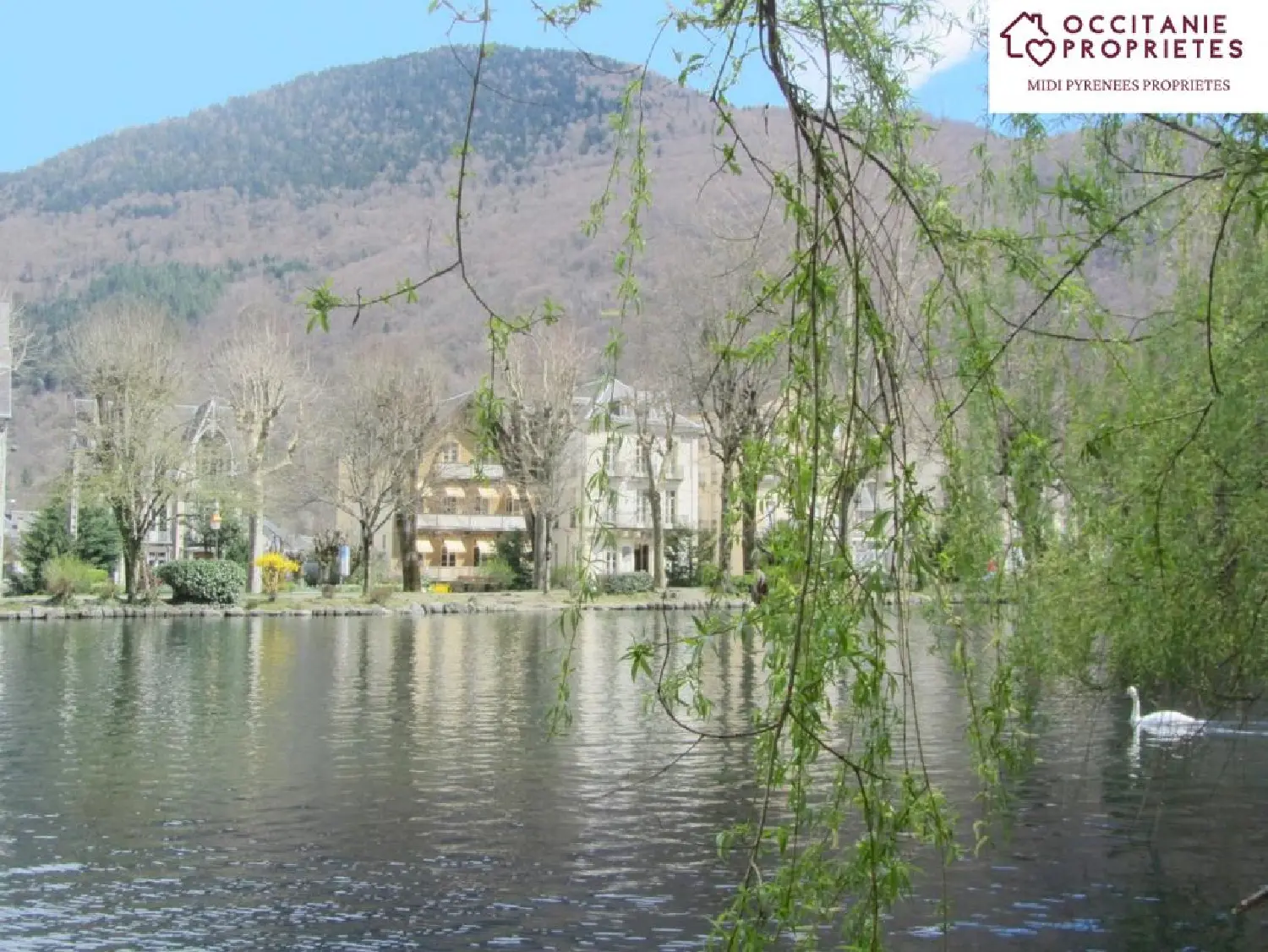  for sale mansion Bagnères-de-Luchon Haute-Garonne 4