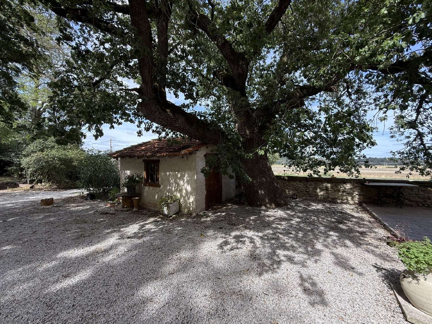  à vendre maison bourgeoise Mas-Saintes-Puelles Aude 4