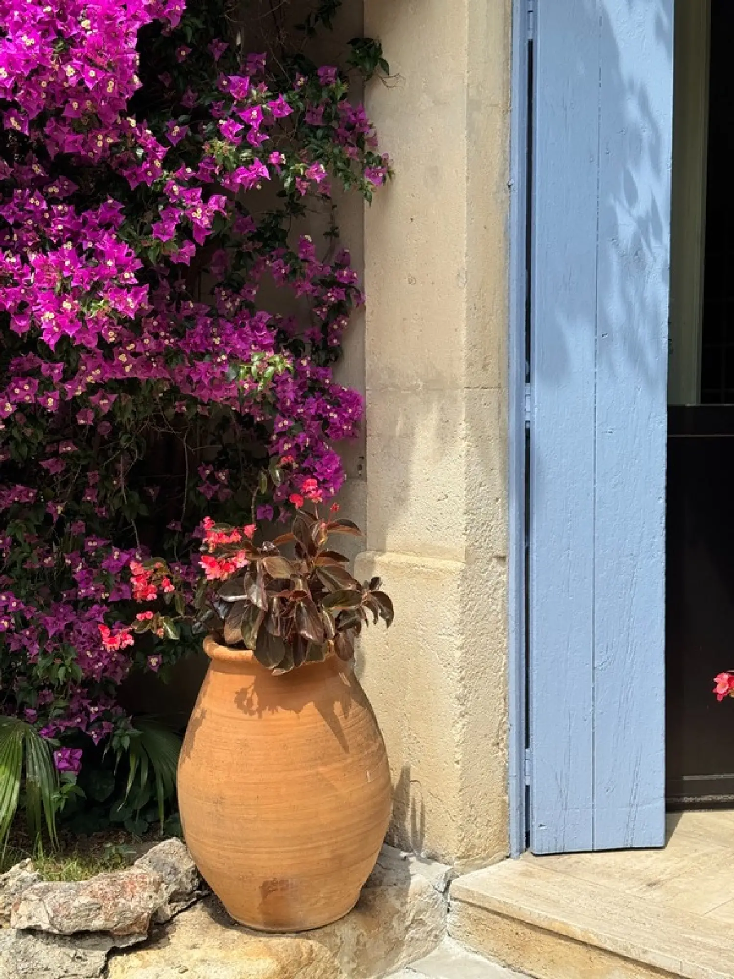  en venta mansión Montpellier 34070 Hérault 6