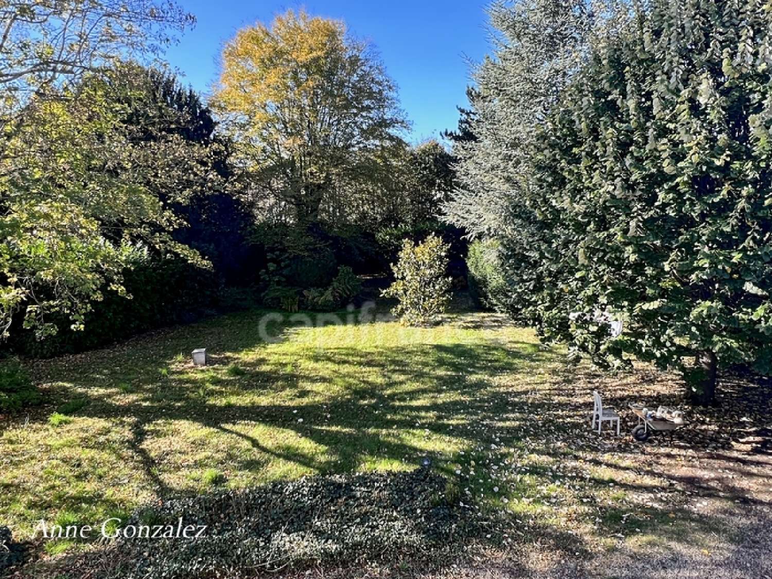  for sale mansion Olivet Loiret 2