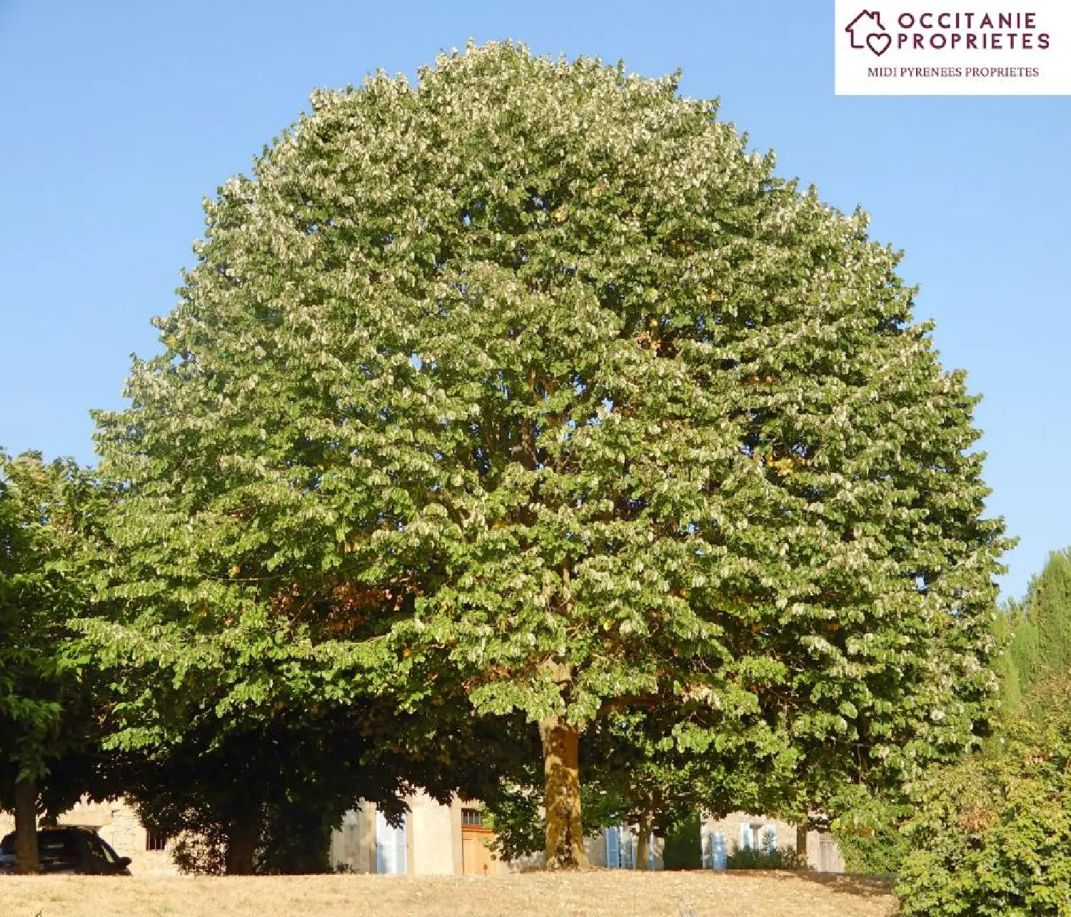  te koop herenhuis Villefranche-de-Lauragais Haute-Garonne 8