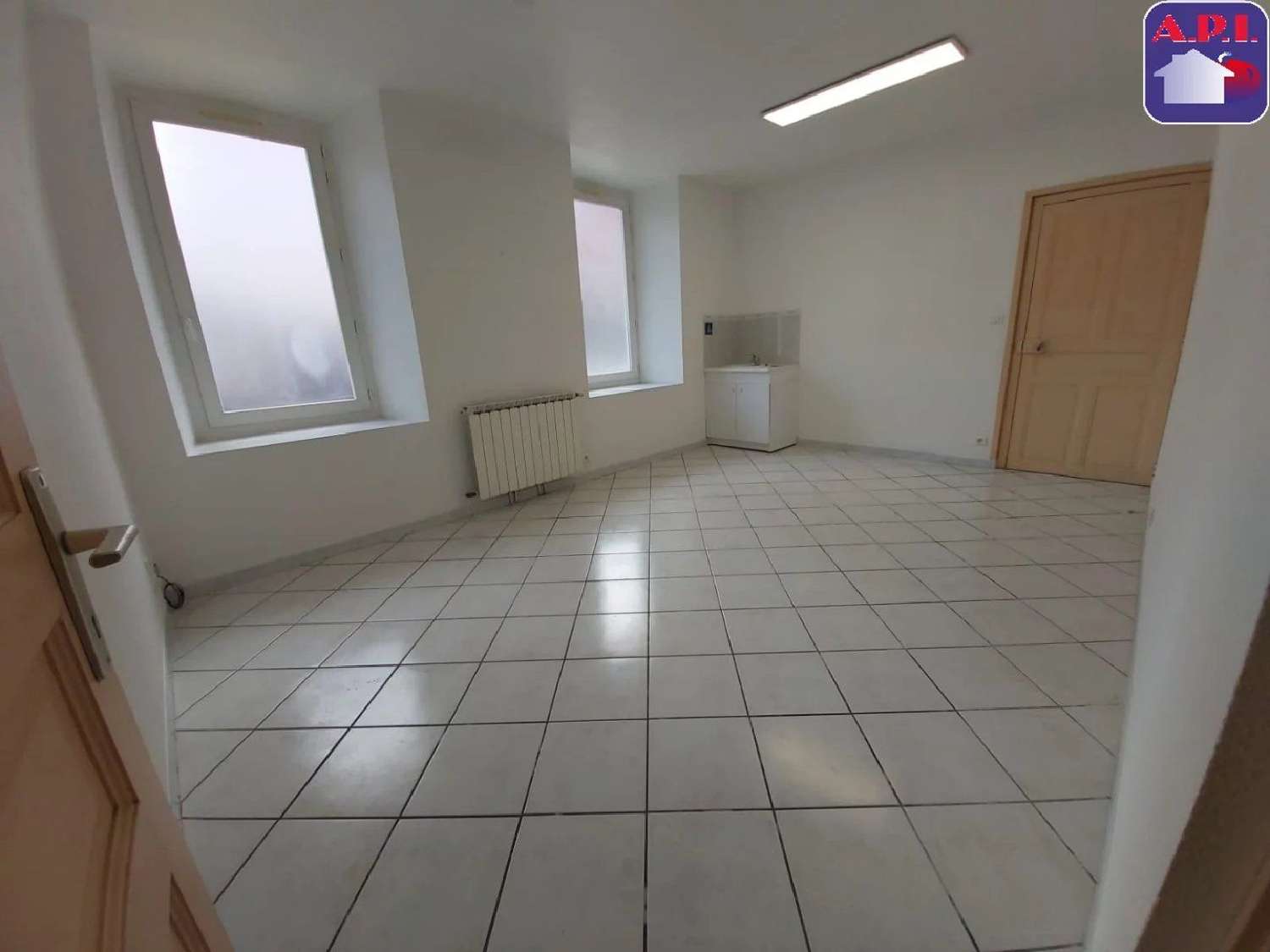  à vendre bureau Lavelanet Ariège 1