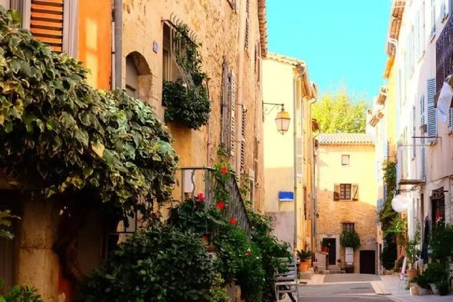  te koop restaurant Valbonne Alpes-Maritimes 2