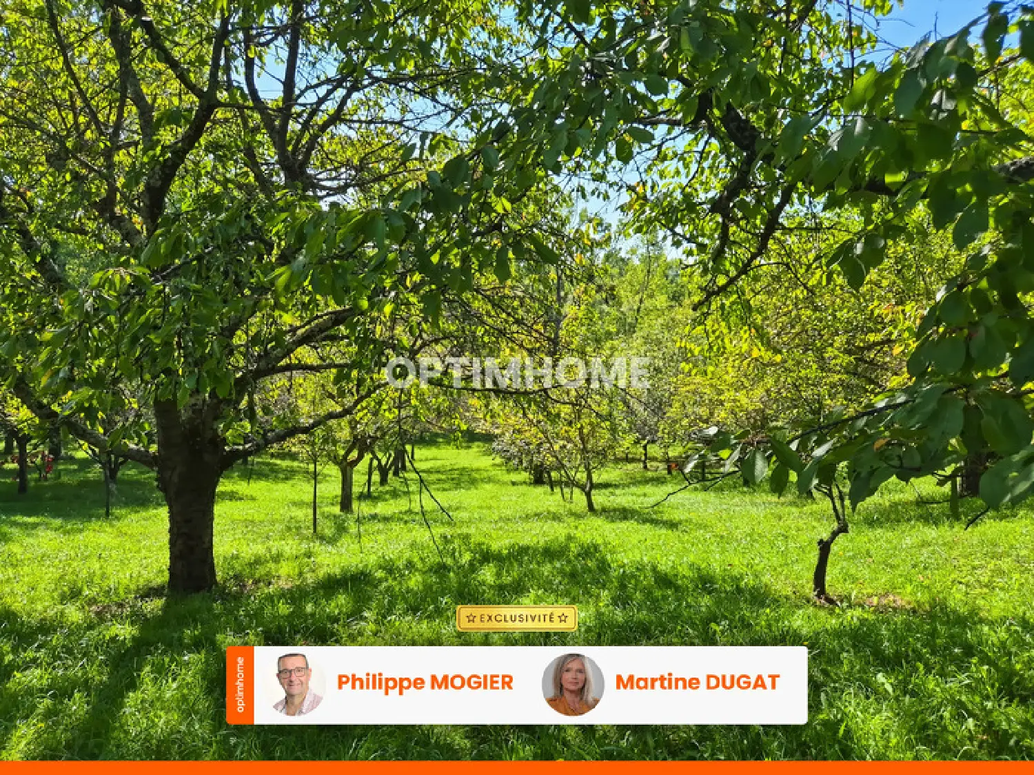  for sale terrain Abrest Allier 6