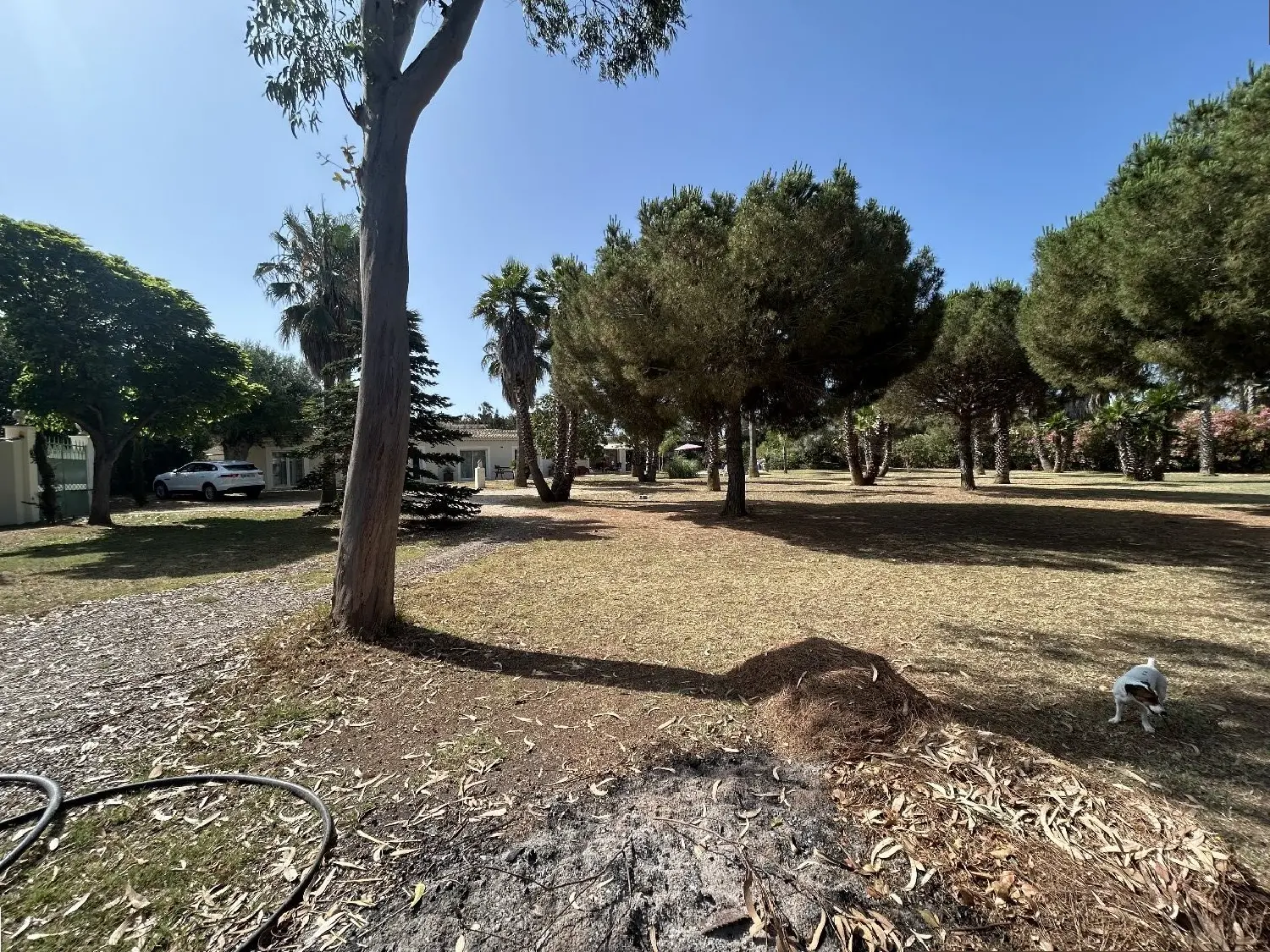  à vendre terrain Agde Hérault 1