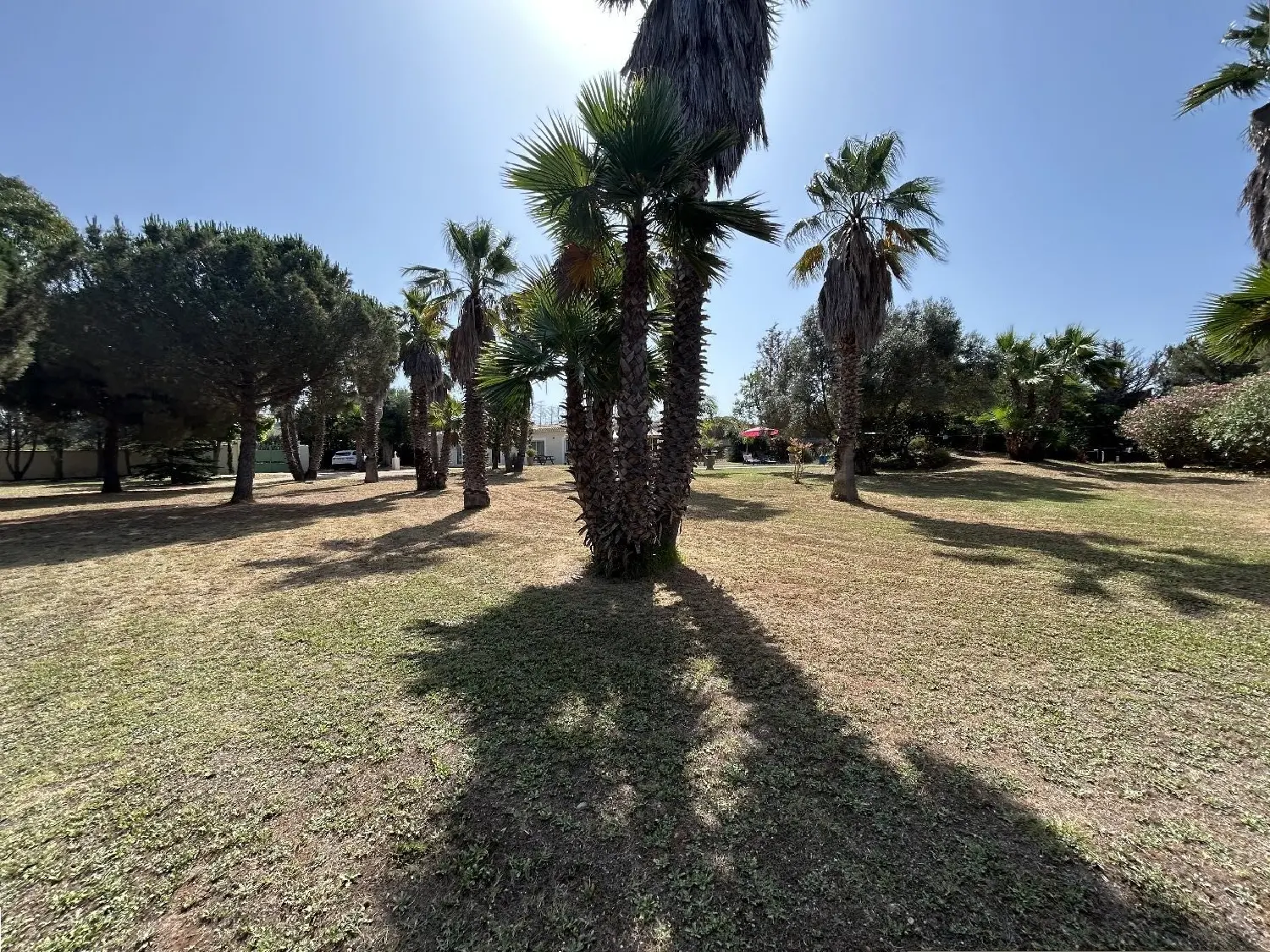  à vendre terrain Agde Hérault 2