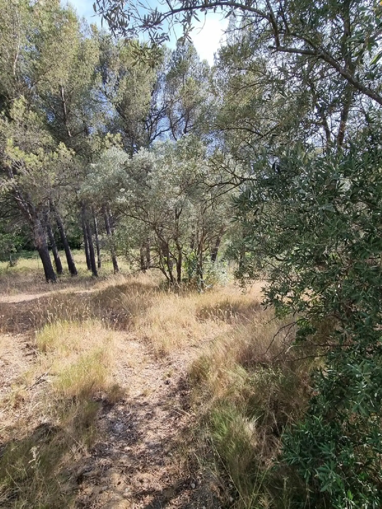  te koop terrein Aix-en-Provence Bouches-du-Rhône 1