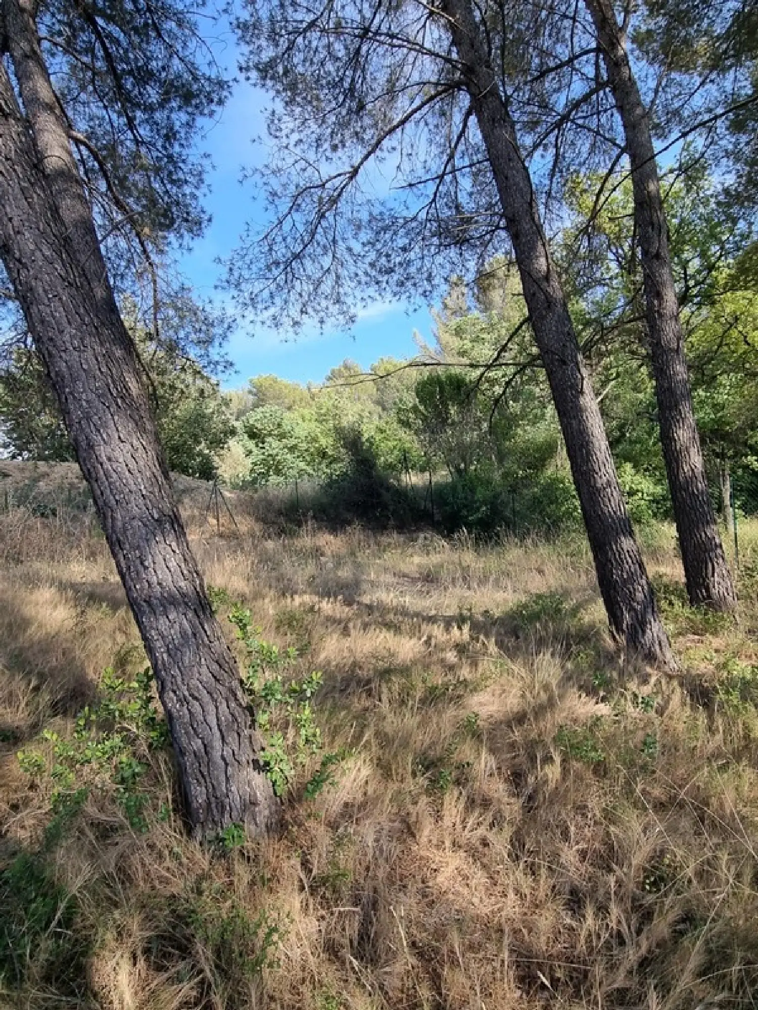  te koop terrein Aix-en-Provence Bouches-du-Rhône 4